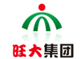 旺大集團網站建設完成上線！[廣州網站建設]
