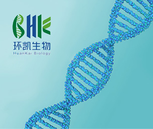 環凱生物官網網站建設項目開通上線啦！