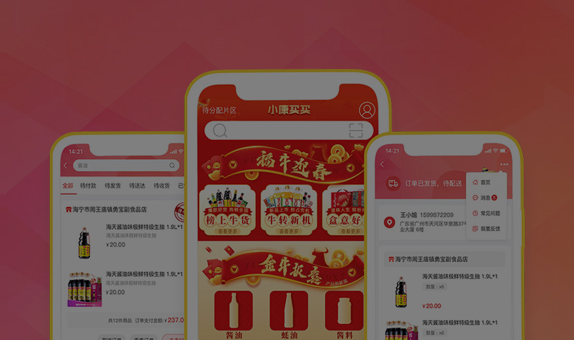 海天小康買買APP開發