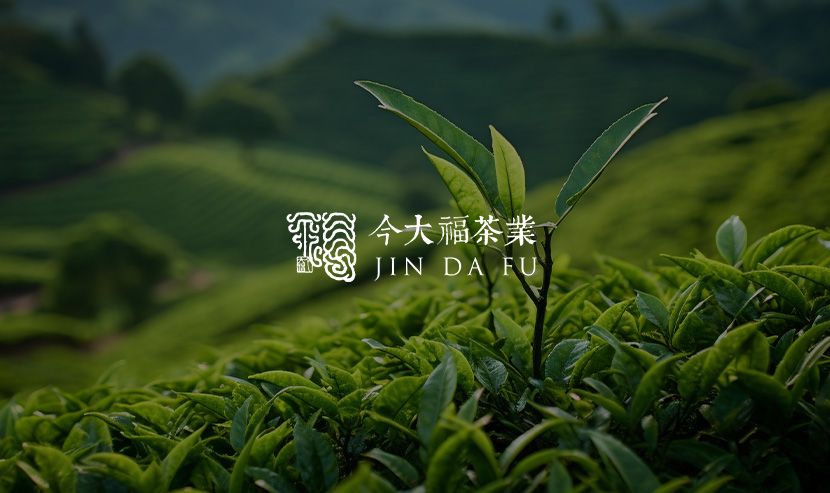 今大福官網改版開通上線啦！