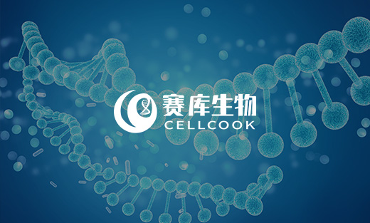 賽庫小程序網站建設開通上線啦！