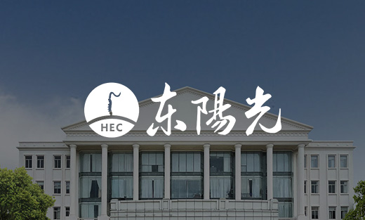 東陽光集團全新官網后臺開發完成~