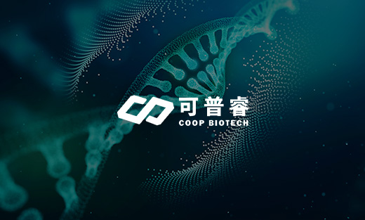 可普睿生物科技官網煥新上線，全方位展現研發實力與業務范疇