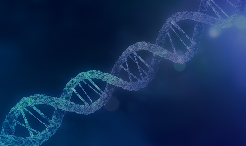 微生物安全與健康資訊網手機官網建設